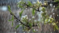 Temperatur 10-15 dərəcə enəcək - XƏBƏRDARLIQ